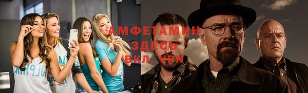 сатива Вязьма