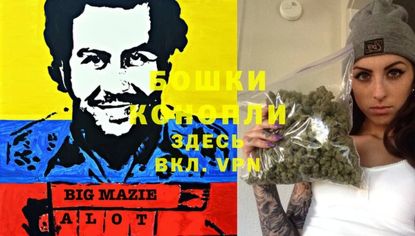 сатива Вязьма