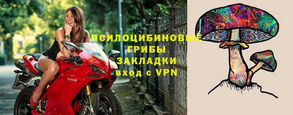 круглые Вяземский