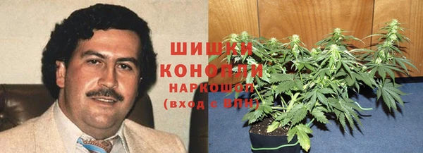 сатива Вязьма