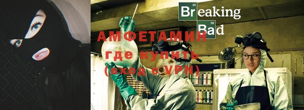 сатива Вязьма