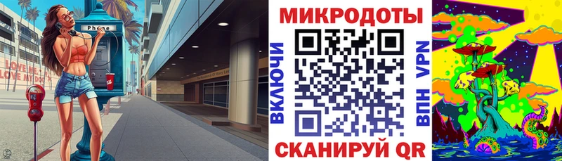 Псилоцибиновые грибы Psilocybine cubensis Малаховка